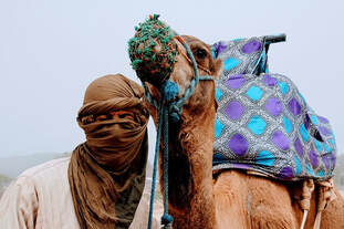 photo of man with camel