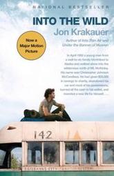book cover of Into the Wild