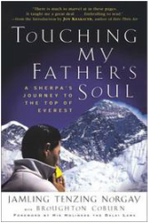 book cover of Touching My Father's Soul