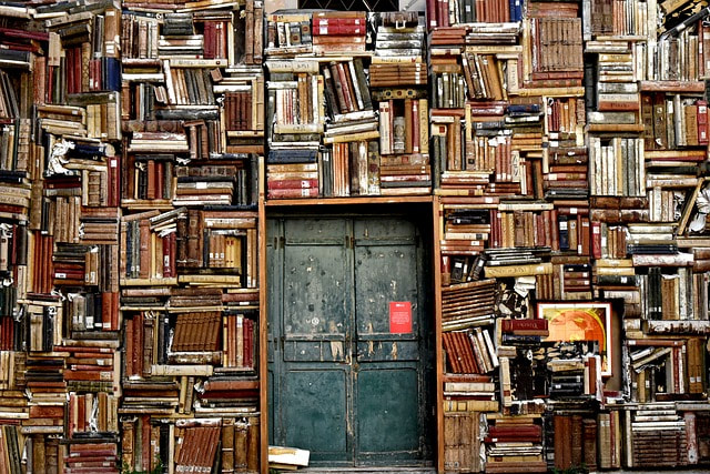 wall of books surrounding an old door