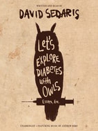 book cover of Let's Explore Diabetes with Owls
