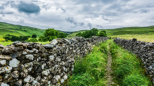 stone fence in green field in England