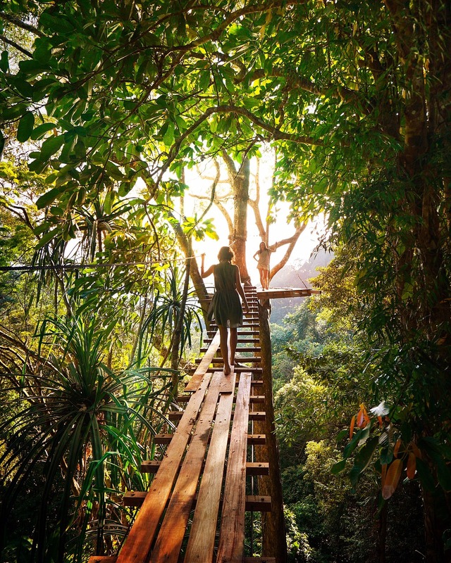 person crossing narrow wooden bridge in jungle