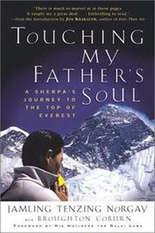 book cover of Touching My Father's Soul
