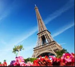 photo of Eiffel Tower and flowers in front